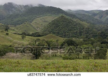 Picture - Farm in a valley, Copan, Copan Ruinas, Copan Department, Honduras. Fotosearch