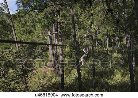 Picture - Girl riding a zip line in a forest, Copan, Copan Ruinas, Copan Department, Honduras. Fotosearch