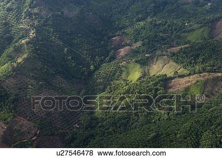 Stock Photo - High angle view of a valley, Bay Islands, Honduras. Fotosearch