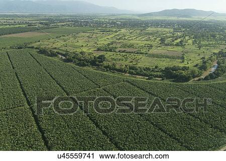 High angle view of agricultural fields, Bay Islands, Honduras View Large Photo Image Stock Image - High angle view of agricultural fields, Bay Islands, Honduras. Fotosearch