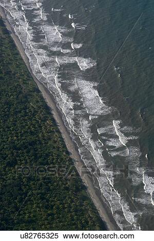 High angle view of surf at the coast, Bay Islands, Honduras View Large Photo Image Stock Photography - High angle view of surf at the coast, Bay Islands, Honduras. Fotosearch