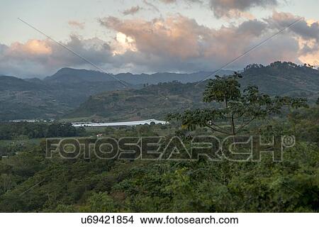 Picture - High angle view of trees in the valley, Copan, Copan Ruinas, Honduras. Fotosearch