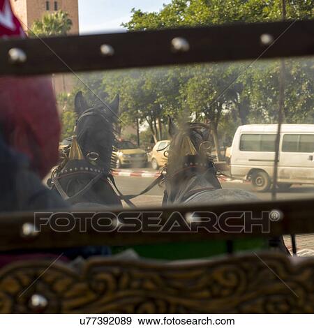 Horsedrawn carriage on the road, Marrakesh, Morocco View Large Photo Image Stock Photo - Horsedrawn carriage on the road, Marrakesh, Morocco. Fotosearch