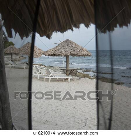 Picture - Lounge chairs with sunshades on the beach, Utopia Village, Utila Island, Bay Islands, Honduras. Fotosearch