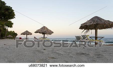 Lounge chairs with sunshades on the beach, Bay Islands, Honduras View Large Photo Image Stock Image - Lounge chairs with sunshades on the beach, Bay Islands, Honduras. Fotosearch