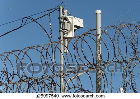 Low angle view of a telegraphy pole with barbed wire fence, Utila Island, Bay Islands, Honduras View Large Photo Image Stock Image - Low angle view of a telegraphy pole with barbed wire fence, Utila Island, Bay Islands, Honduras. Fotosearch