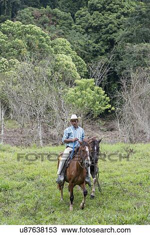 Man horseback riding in forest, Finca El Cisne, Honduras View Large Photo Image Stock Image - Man horseback riding in forest, Finca El Cisne, Honduras. Fotosearch
