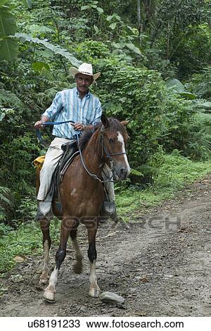 Stock Image - Man riding a horse, Finca El Cisne, Honduras. Fotosearch