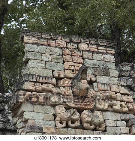 Stock Photo - Mayan ruins at an archaeological site, Copan, Copan Ruinas, Honduras. Fotosearch