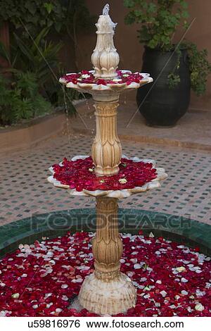 Petals decorated fountain at Kasbah Tamadot, Asni, Morocco View Large Photo Image Stock Photograph - Petals decorated fountain at Kasbah Tamadot, Asni, Morocco. Fotosearch