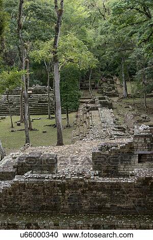 Stock Image - Ruins at an archaeological site, Copan, Copan Ruinas, Copan Department, Honduras. Fotosearch