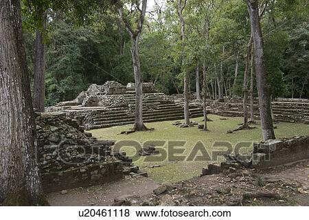 Ruins at an archaeological site, Copan, Copan Ruinas, Copan Department, Honduras View Large Photo Image Stock Photo - Ruins at an archaeological site, Copan, Copan Ruinas, Copan Department, Honduras. Fotosearch