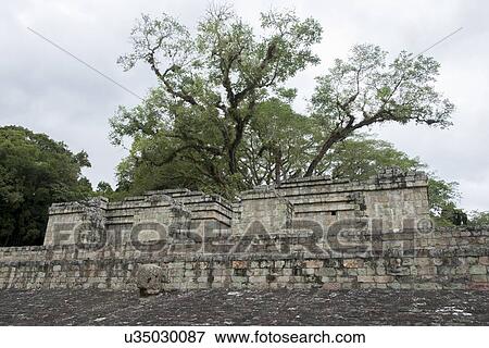 Ruins at an archaeological site, Copan, Copan Ruinas, Copan Department, Honduras View Large Photo Image Stock Photo - Ruins at an archaeological site, Copan, Copan Ruinas, Copan Department, Honduras. Fotosearch