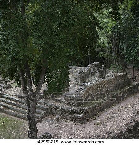 Ruins at an archaeological site, Copan, Copan Ruinas, Copan Department, Honduras View Large Photo Image Stock Photo - Ruins at an archaeological site, Copan, Copan Ruinas, Copan Department, Honduras. Fotosearch
