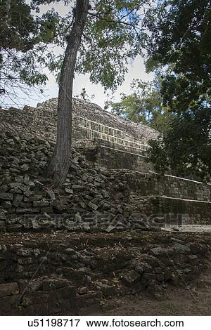 Ruins at an archaeological site, Copan, Copan Ruinas, Copan Department, Honduras View Large Photo Image Stock Photo - Ruins at an archaeological site, Copan, Copan Ruinas, Copan Department, Honduras. Fotosearch