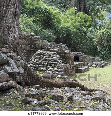 Stock Photograph - Ruins at an archaeological site, Copan, Copan Ruinas, Copan Department, Honduras. Fotosearch