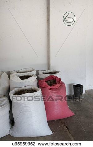 Sacks in a store, Finca El Cisne, Honduras View Large Photo Image Stock Image - Sacks in a store, Finca El Cisne, Honduras. Fotosearch