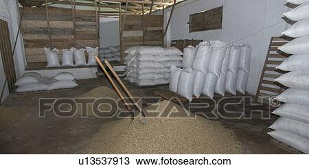 Sacks in a warehouse, Finca El Cisne, Honduras View Large Photo Image Stock Image - Sacks in a warehouse, Finca El Cisne, Honduras. Fotosearch