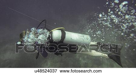 Stock Photo - Scuba diver underwater, Utila, Bay Islands, Honduras. Fotosearch