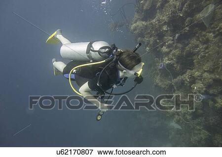 Scuba diver underwater, Utila, Bay Islands, Honduras View Large Photo Image Stock Photo - Scuba diver underwater, Utila, Bay Islands, Honduras. Fotosearch
