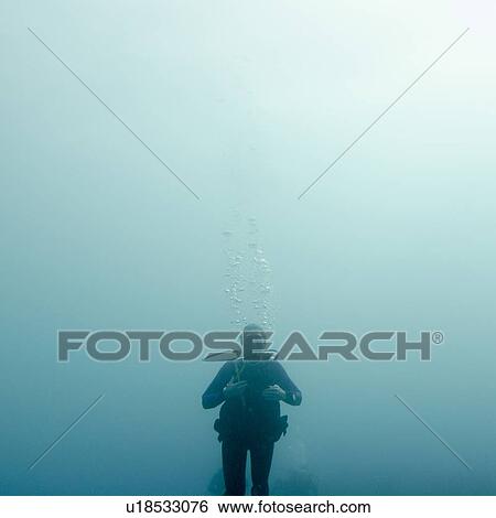 Scuba diver underwater, Utila, Bay Islands, Honduras View Large Photo Image Stock Photograph - Scuba diver underwater, Utila, Bay Islands, Honduras. Fotosearch