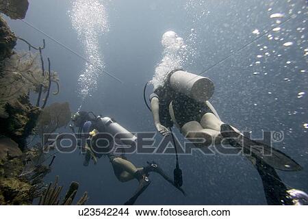 Scuba divers underwater, Utila, Bay Islands, Honduras View Large Photo Image Picture - Scuba divers underwater, Utila, Bay Islands, Honduras. Fotosearch