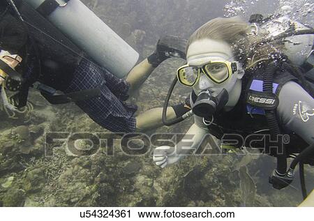 Scuba divers underwater, Utila, Bay Islands, Honduras View Large Photo Image Stock Image - Scuba divers underwater, Utila, Bay Islands, Honduras. Fotosearch