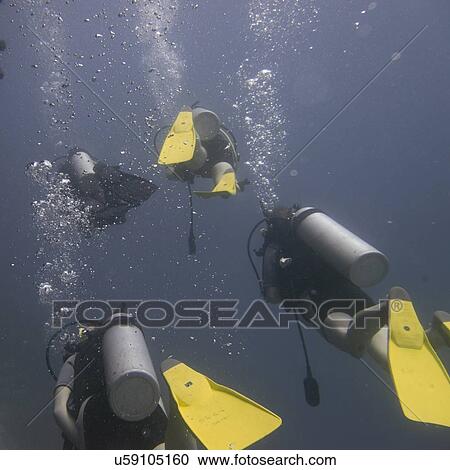 Stock Image - Scuba divers underwater, Utila, Bay Islands, Honduras. Fotosearch