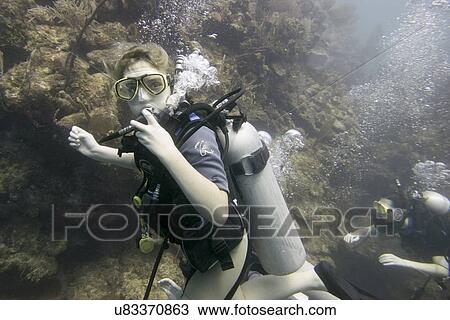Scuba divers underwater, Utila, Bay Islands, Honduras View Large Photo Image Stock Image - Scuba divers underwater, Utila, Bay Islands, Honduras. Fotosearch