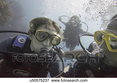 Scuba divers underwater, Utila, Bay Islands, Honduras View Large Photo Image Stock Photo - Scuba divers underwater, Utila, Bay Islands, Honduras. Fotosearch