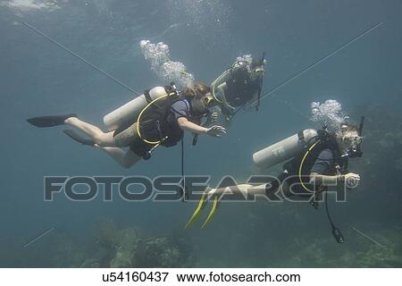 Scuba divers underwater, Utila, Bay Islands, Honduras View Large Photo Image Stock Photo - Scuba divers underwater, Utila, Bay Islands, Honduras. Fotosearch