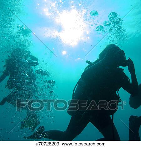 Scuba divers underwater, Utila, Bay Islands, Honduras View Large Photo Image Stock Photo - Scuba divers underwater, Utila, Bay Islands, Honduras. Fotosearch