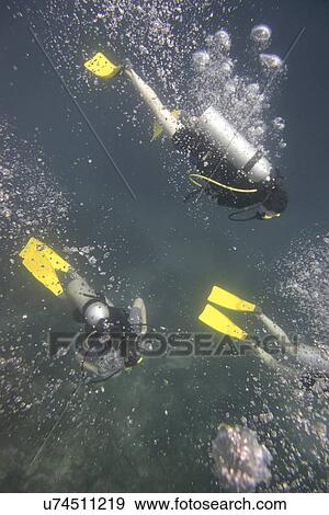 Scuba divers underwater, Utila, Bay Islands, Honduras View Large Photo Image Stock Photo - Scuba divers underwater, Utila, Bay Islands, Honduras. Fotosearch