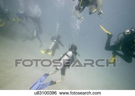 Stock Photograph - Scuba divers underwater, Utila, Bay Islands, Honduras. Fotosearch