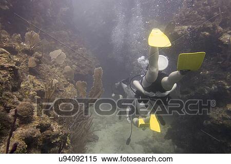Stock Photography - Scuba divers underwater, Utila, Bay Islands, Honduras. Fotosearch