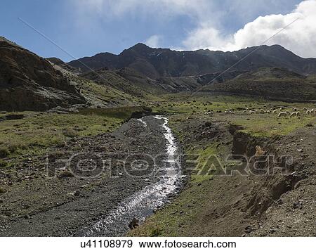 Stock Photo - Stream with flock of sheep in a valley, Atlas Mountains, Morocco. Fotosearch