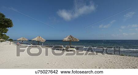 Sunshades with chairs on the beach, Utopia Village, Utila, Bay Islands, Honduras View Large Photo Image Stock Image - Sunshades with chairs on the beach, Utopia Village, Utila, Bay Islands, Honduras. Fotosearch