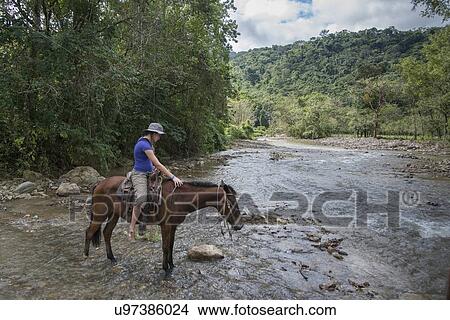 Picture - Teenage girl crossing a river on a horse, Finca El Cisne, Honduras. Fotosearch
