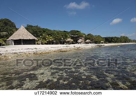 Tourist resort at the coast, Bay Islands, Honduras View Large Photo Image Stock Image - Tourist resort at the coast, Bay Islands, Honduras. Fotosearch