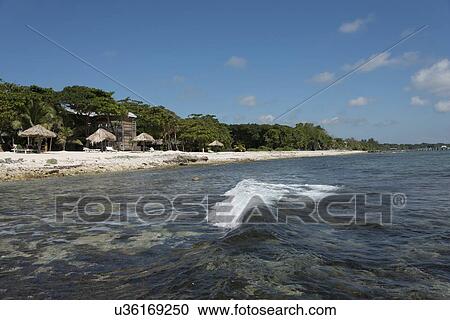Tourist resort at the coast, Bay Islands, Honduras View Large Photo Image Stock Image - Tourist resort at the coast, Bay Islands, Honduras. Fotosearch