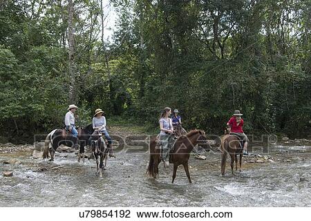 Tourists crossing a river on horses, Finca El Cisne, Honduras View Large Photo Image Stock Image - Tourists crossing a river on horses, Finca El Cisne, Honduras. Fotosearch