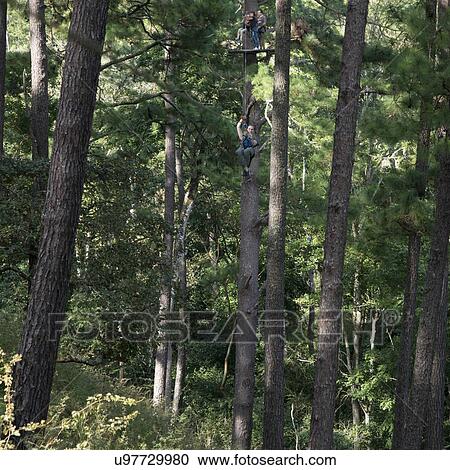 Stock Image - Tourists riding a zip line in a forest, Copan, Copan Ruinas, Copan Department, Honduras. Fotosearch