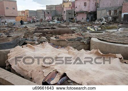 Traditional tannery in medina of Marrakesh, Morocco View Large Photo Image Stock Image - Traditional tannery in medina of Marrakesh, Morocco. Fotosearch