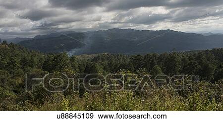 Stock Photo - Trees in a valley, Copan, Copan Ruinas, Copan Department, Honduras. Fotosearch