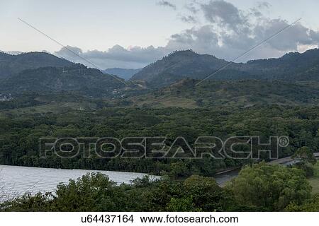 Trees on a landscape, Copan, Copan Ruinas, Copan Department, Honduras View Large Photo Image Picture - Trees on a landscape, Copan, Copan Ruinas, Copan Department, Honduras. Fotosearch