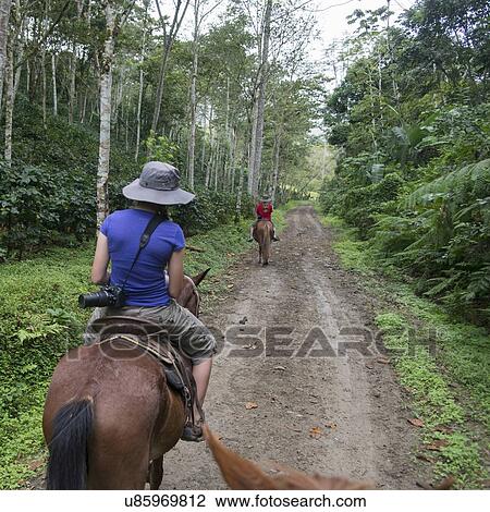 Stock Image - Two girls riding horses on a dirt road, Finca El Cisne, Honduras. Fotosearch