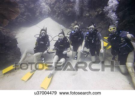 Stock Photo - Underwater view of scuba divers on sea floor, Utila, Bay Islands, Honduras. Fotosearch
