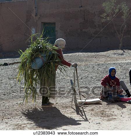 Stock Image - Woman carrying grass on her back, Tabounte, Ouarzazate Province, Souss-Massa-Draa, Morocco. Fotosearch