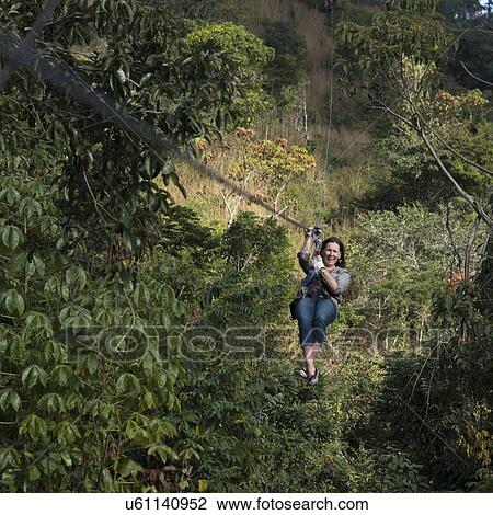 Woman riding a zip line in a forest, Copan, Copan Ruinas, Copan Department, Honduras View Large Photo Image Stock Image - Woman riding a zip line in a forest, Copan, Copan Ruinas, Copan Department, Honduras. Fotosearch