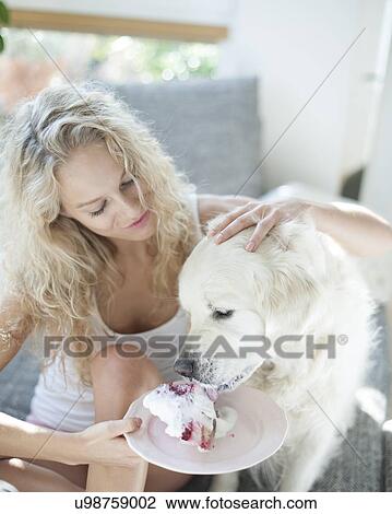 Stock Image - Beautiful woman feeding cake to dog in house. Fotosearch